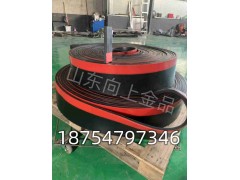 GLI聚氨酯材质平板防溢裙板图3